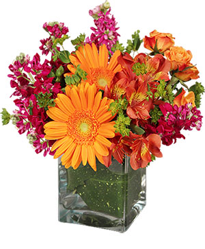Floral Exuberance bouquet for $65