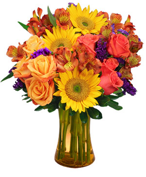 Sunflower Sampler bouquet for $70